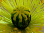 74b50444.jpg