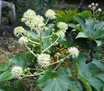 71bd1090.JPG