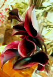 30b79d60.JPG