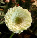 53353d18.JPG