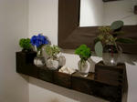 R1102756.JPG