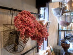 R6074359.JPG