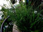 R6074542.JPG
