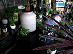 R6074547.JPG
