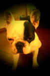 20120204_095714.jpg
