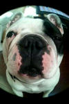 20120204_095859.jpg