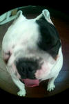 20120204_095944.jpg