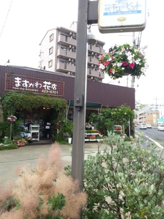 20130706_161630.jpg