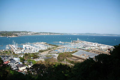 IMG_8468.jpg