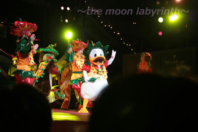 IMG_2845.jpg