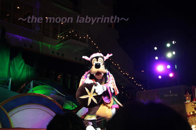 IMG_2916.jpg
