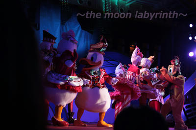 IMG_2995.jpg