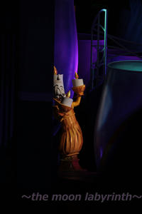 IMG_3082.jpg