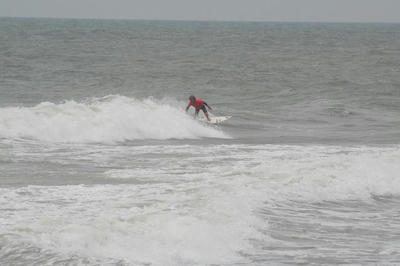 IMG_4342.JPG