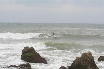 IMG_4370.JPG