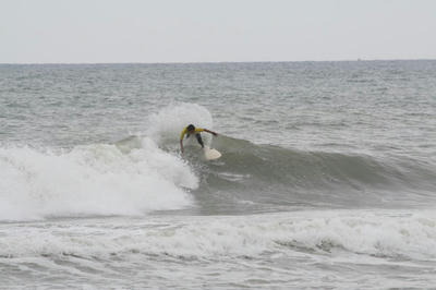 IMG_4452.JPG