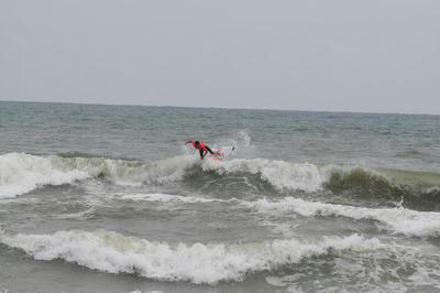 IMG_4457.JPG