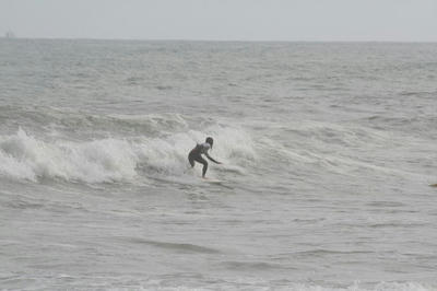 IMG_4533.JPG