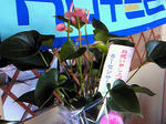 200909101713000.jpg