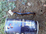 200909171438000.jpg