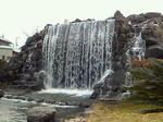 NEC_0298.JPG