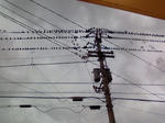 NEC_0494.jpg