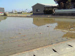 NEC_0495.JPG