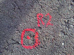 NEC_0587.jpg