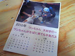 NEC_0604.JPG
