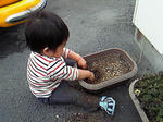 NEC_0660.jpg