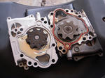 DSCN0914.JPG