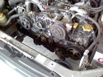 L7050196.JPG