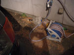 DSCN1402.JPG