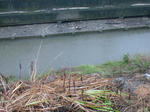 DVC00444.JPG