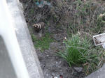 DVC00051.jpg