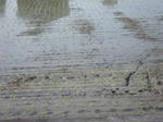 DVC00056.jpg