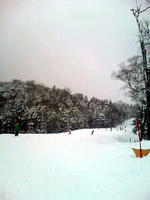 100123_snow.JPG