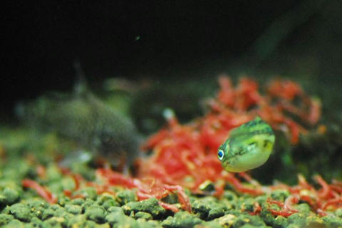 DSC_3244.jpg