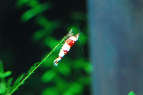 DSC_3666.jpg