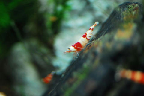 DSC_3708.jpg