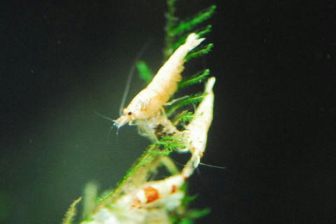 DSC_3818.jpg