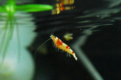 DSC_3828.jpg
