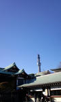 PAP_0155.JPG