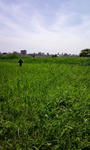 PAP_0209.JPG