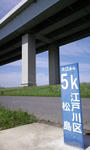 PAP_0206.JPG
