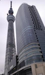 PAP_0228.JPG