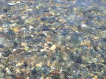 IMG_0279.JPG