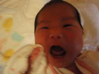008_convert_20090402171813.jpg