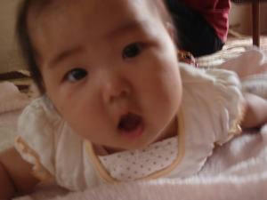 006_convert_20090718171639.jpg