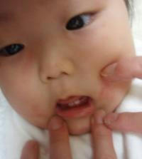 007_convert_20091031230720.jpg